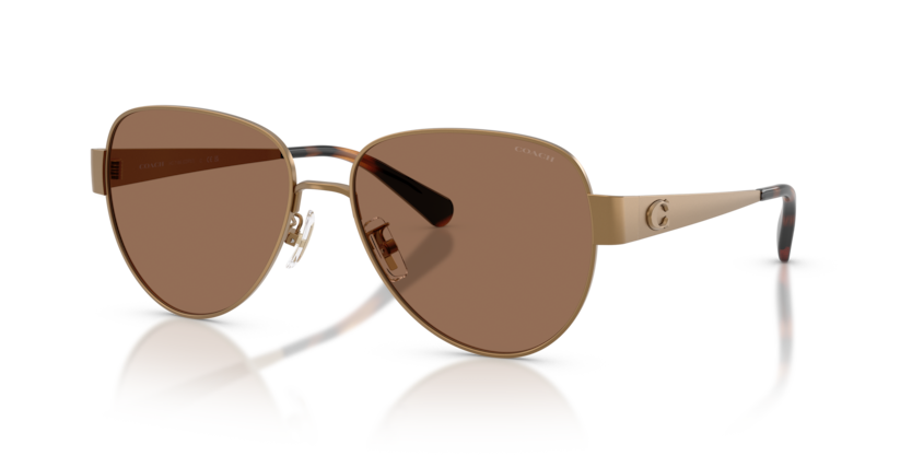 Coach HC7186 Cdp37 Sunglasses