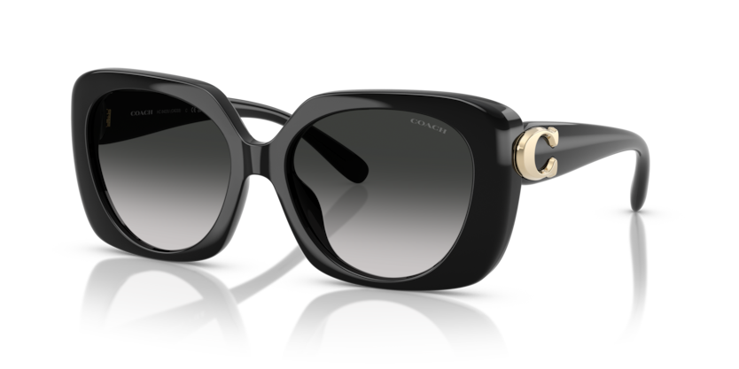 Coach HC8422U Cad33 Sunglasses