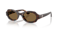 Giorgio Armani AR8245HU  Sunglasses