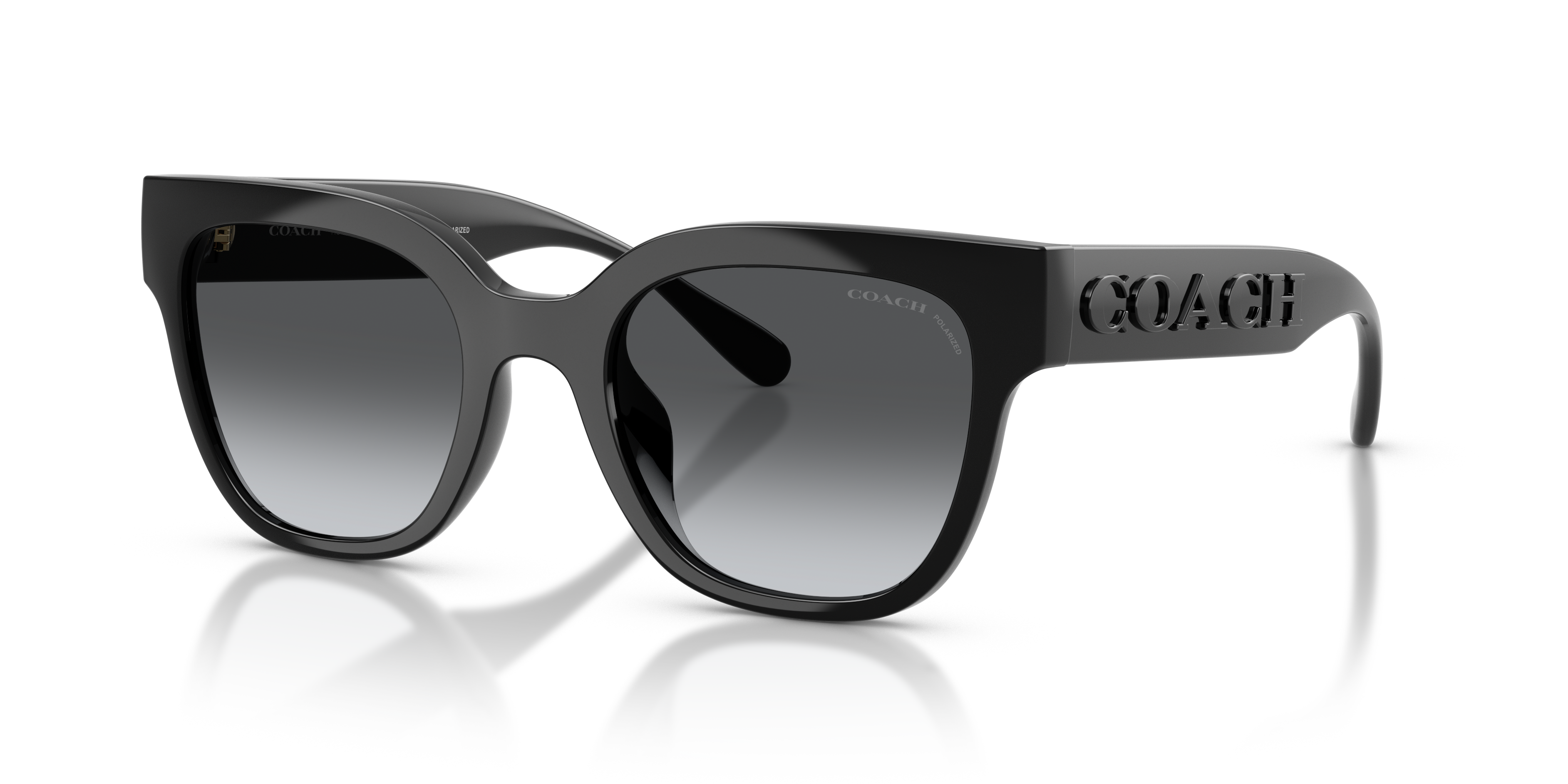 Coach HC8460U Cft88 Sunglasses