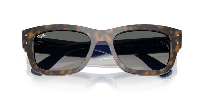 Ray-Ban RB7683S Joseph Sunglasses