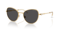 Swarovski SK7032  Sunglasses