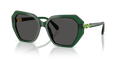 Swarovski SK6017  Sunglasses
