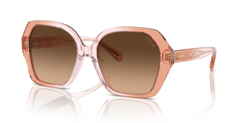 Coach HC8404U Cr615 Sunglasses