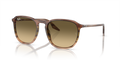 Ray-Ban RB2203F  Sunglasses