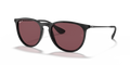 Ray-Ban RB4171 Erika Sunglasses