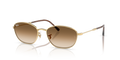 Ray-Ban RB3749  Sunglasses