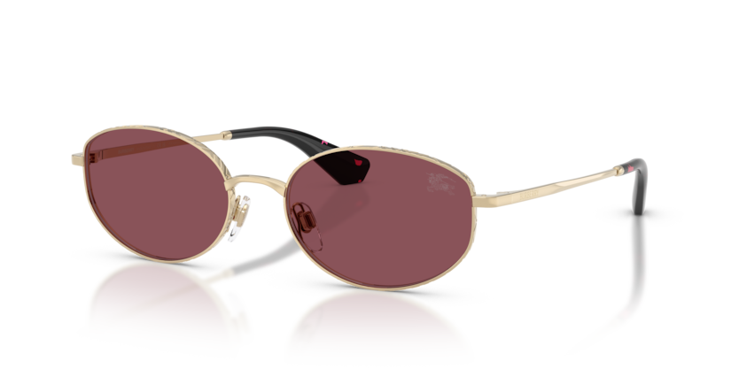 Burberry BE3169  Sunglasses