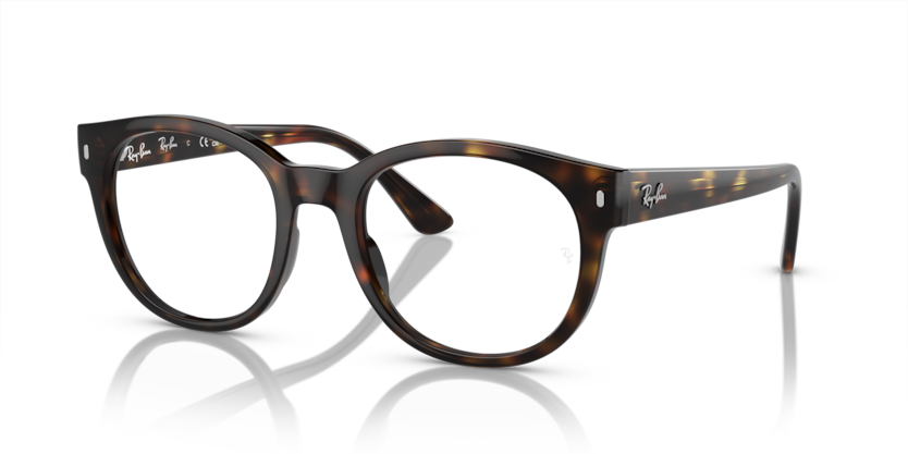 Ray-Ban Vista RX7227  Eyeglasses