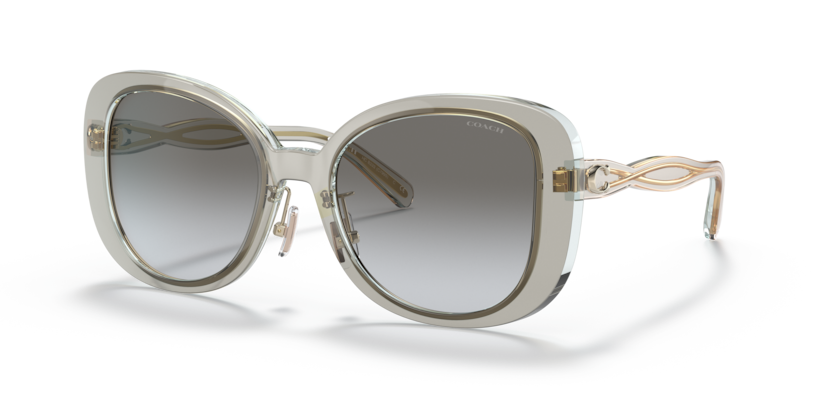 Coach HC8333 C7995 Sunglasses