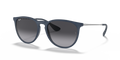 Ray-Ban RB4171 Erika Sunglasses