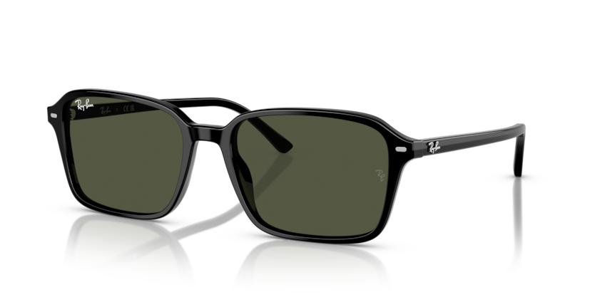 Ray-Ban RB2231F Raimond Sunglasses