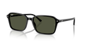 Ray-Ban RB2231F Raimond Sunglasses