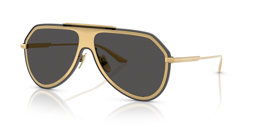 Dolce & Gabbana DG2309  Sunglasses