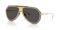 Dolce & Gabbana DG2309  Sunglasses
