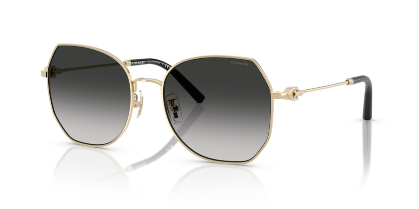 Coach HC7175 Cad79 Sunglasses