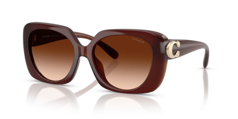 Coach HC8422U Cad33 Sunglasses