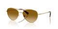 Swarovski SK7047  Sunglasses