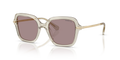Swarovski SK6040  Sunglasses