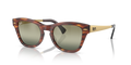 Ray-Ban RB0707SM  Sunglasses