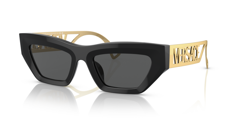 Versace VE4432U  Sunglasses