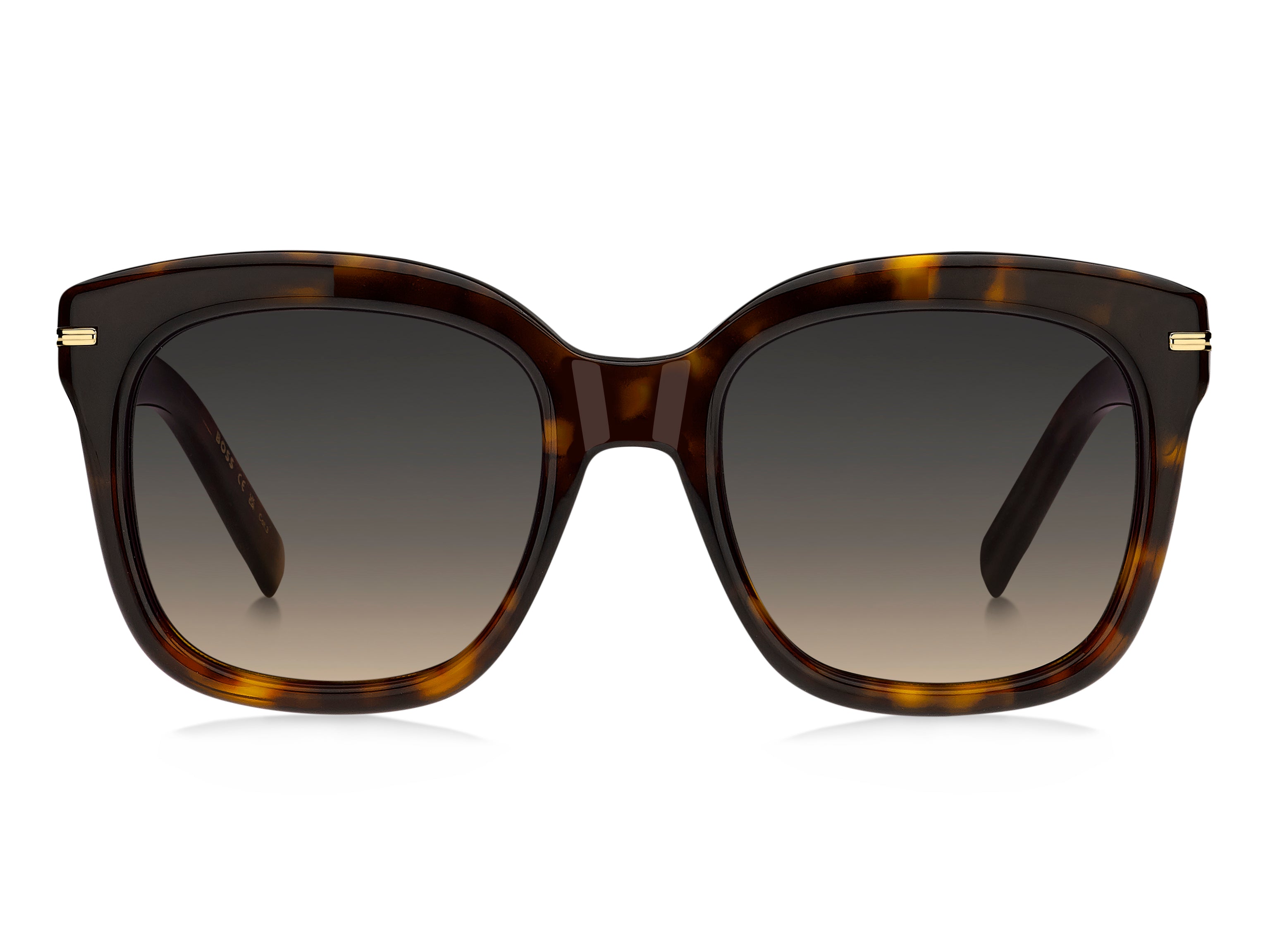 Hugo Boss 1731/s Sunglasses