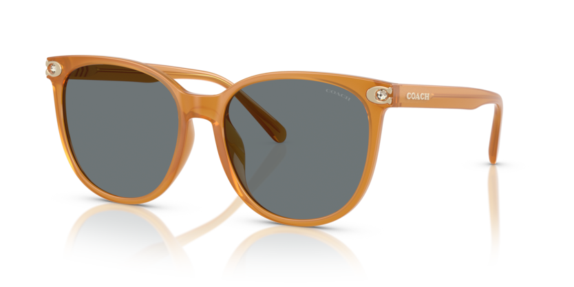 Coach HC8414BD Cw428 Sunglasses