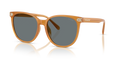 Coach HC8414BD Cw428 Sunglasses