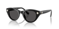 Swarovski SK6025  Sunglasses