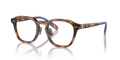 Polo PH2278D  Eyeglasses