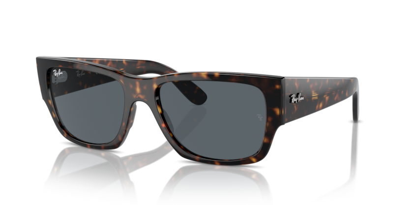 Ray-Ban RB0947SF Carlos Sunglasses