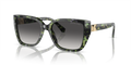 Michael Kors MK2199 Acadia Sunglasses