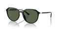 Ray-Ban RB4415L  Sunglasses