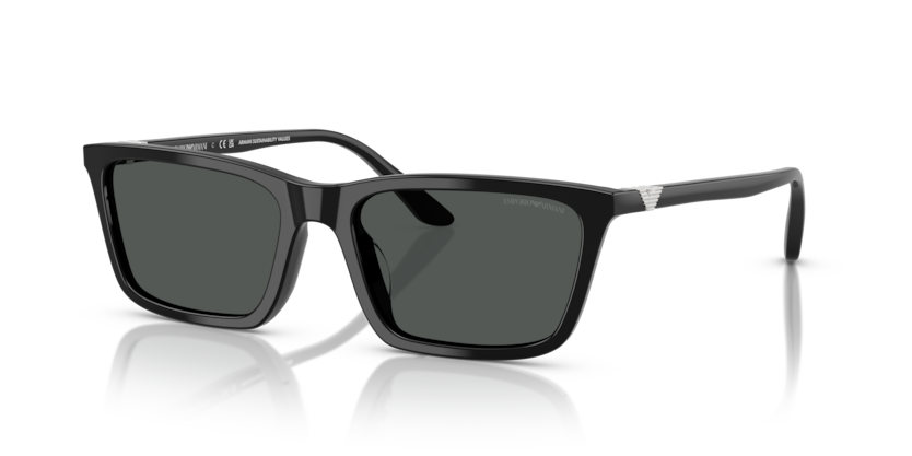 Emporio Armani EA4239U  Sunglasses