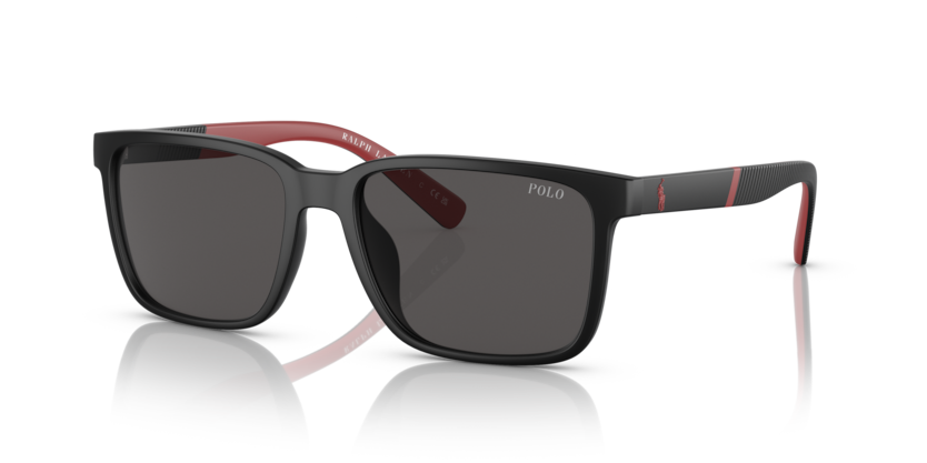 Polo PH4189U  Sunglasses