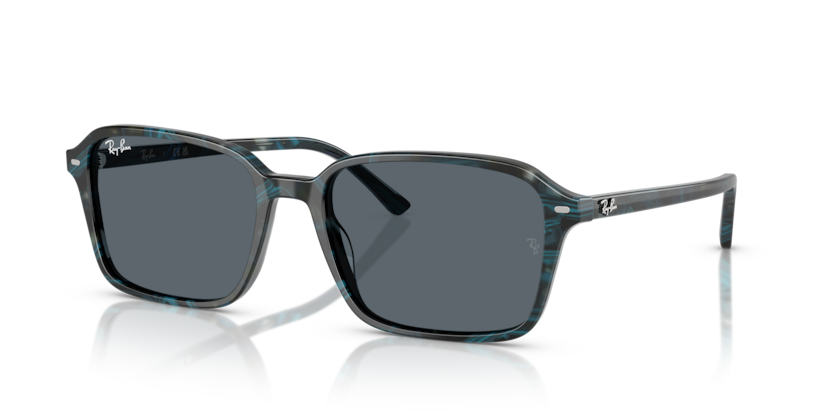 Ray-Ban RB2231 Raimond Sunglasses