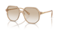 Swarovski SK6003  Sunglasses