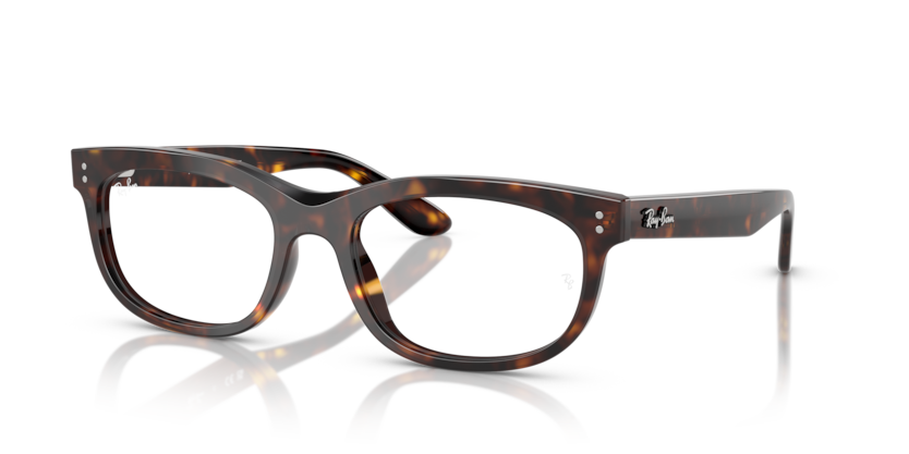 Ray-Ban Vista RX5489 Balorette Eyeglasses