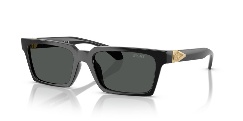 Versace VE4490U  Sunglasses