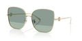 Tory Burch TY6106D  Sunglasses