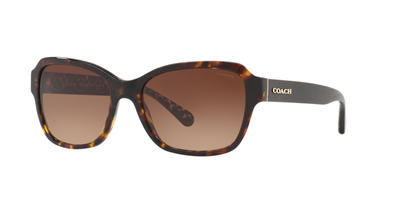 Coach HC8232 L1010 Sunglasses