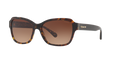Coach HC8232 L1010 Sunglasses
