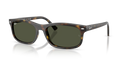 Ray-Ban RB2224F  Sunglasses