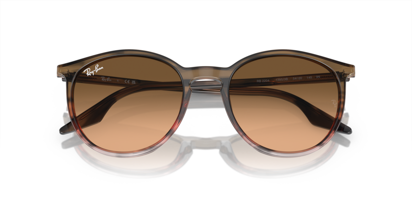 Ray-Ban RB2204  Sunglasses