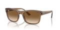 Ray-Ban RB4428F  Sunglasses