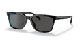 Coach HC8328U C6196 Sunglasses