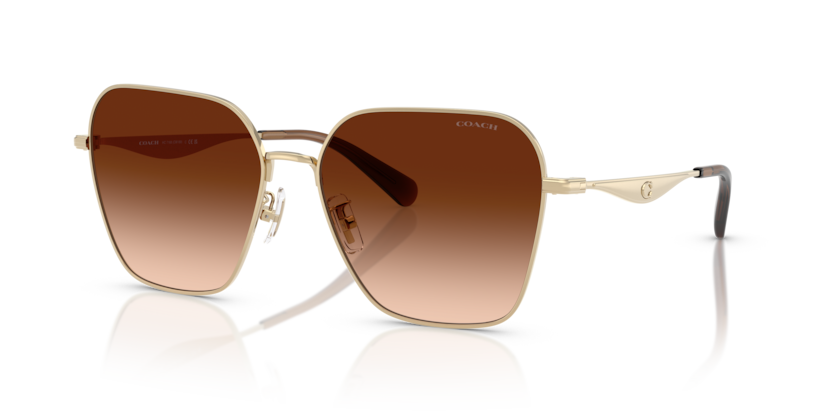 Coach HC7168 Cw189 Sunglasses