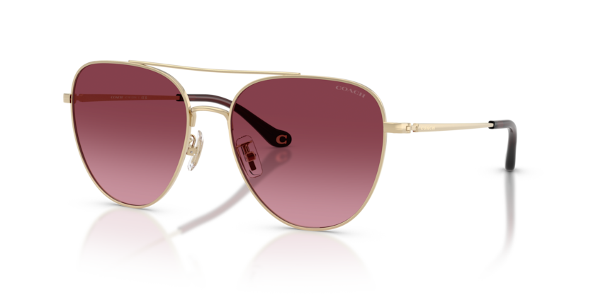 Coach HC7182 Cbz89 Sunglasses