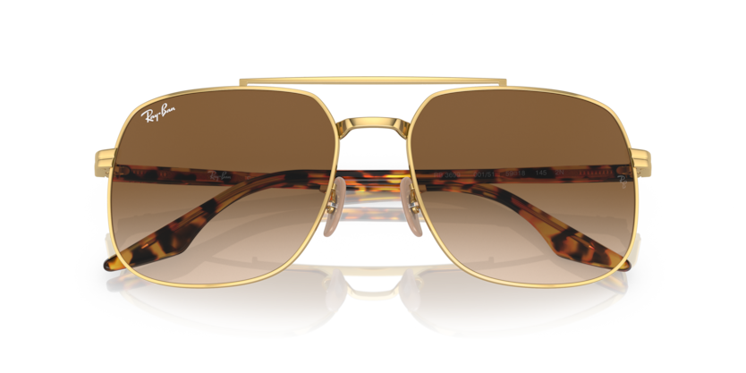 Ray-Ban RB3699  Sunglasses