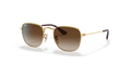 Ray-Ban Junior RJ9557S Junior Frank Sunglasses Kids